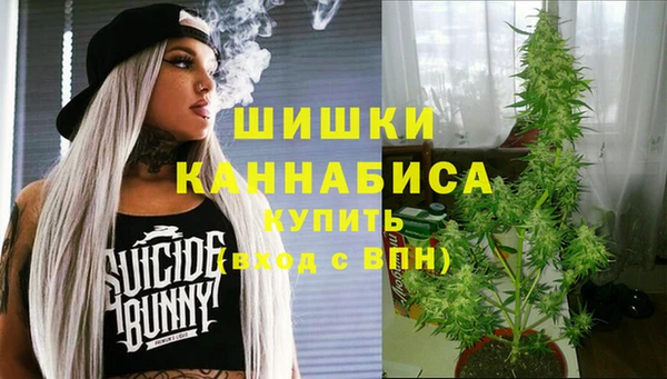 ECSTASY Шали