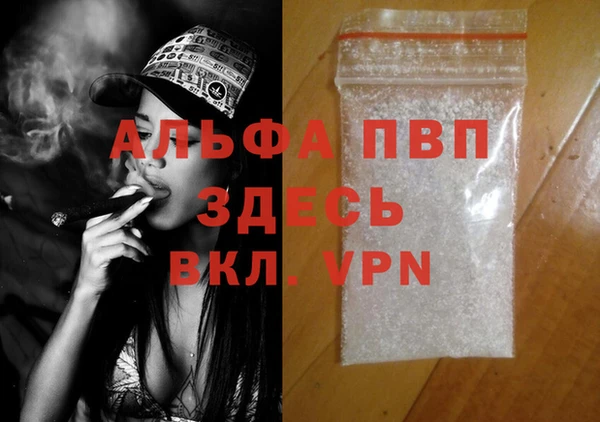 ECSTASY Шали