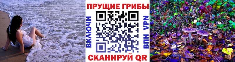наркотики  Мостовской  Галлюциногенные грибы Magic Shrooms 
